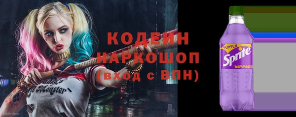 соль ск Арсеньев